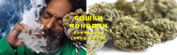 гашик Липки