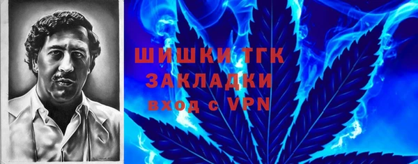 твердый Аркадак